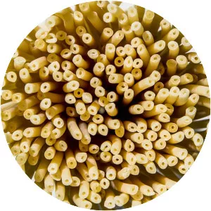 Bucatini - Pasta variety