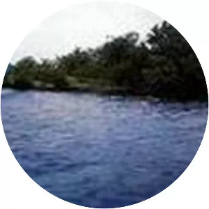 Bucinch - Island in Scotland