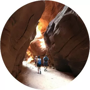 Buckskin Gulch - Canyon in Utah