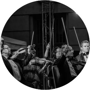 Budapest Strings - Musical artist