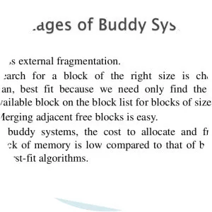 Buddy system photograph