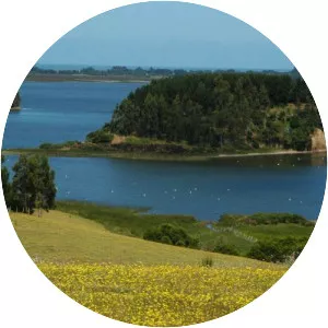 Budi Lake - Lake in Chile