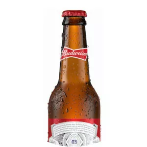 Budweiser - Beer