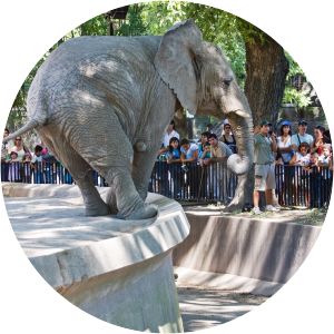 Buenos Aires Zoo