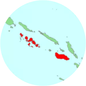 Buff-headed coucal - Bird