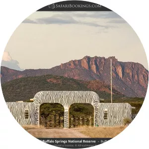 Buffalo Springs National Reserve - 