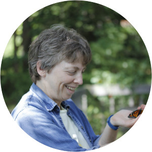 Buffy Silverman - Author