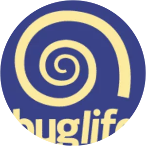 Buglife - 