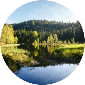 Buhlbachsee - Tarn in Germany