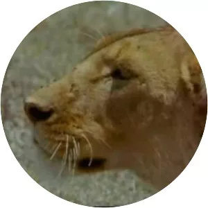 Built for the Kill - TV series