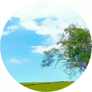 Bukit Lakeppo Barru Regency