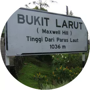 Bukit Larut