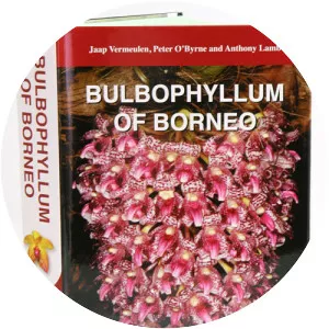 Bulbophyllum of Borneo