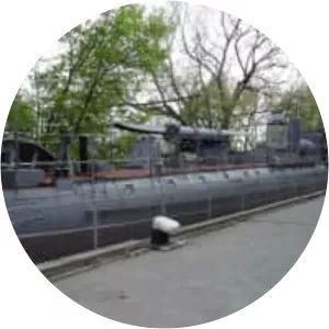 Bulgarian torpedo boat Drazki - 