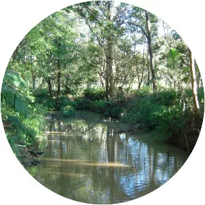 Bulimba Creek - Creek in Australia