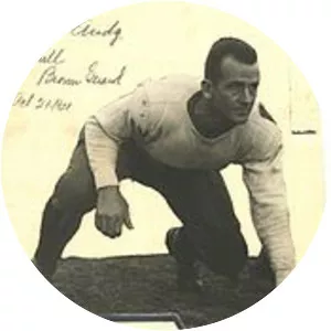 Bull Brown - American football player