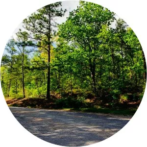 Bull's Gap Trailhead Pinhoti Trail Goodwater