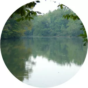 Bull Sluice Lake - Reservoir in Georgia