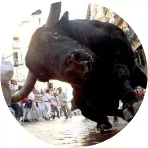 Bullcoming v. New Mexico