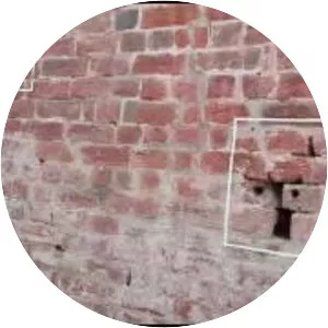 Bullet Marks [jallianwala bagh] - 