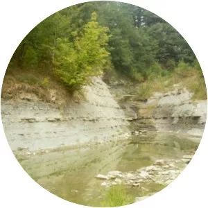 Bullock Pen Lake - Lake in Kentucky