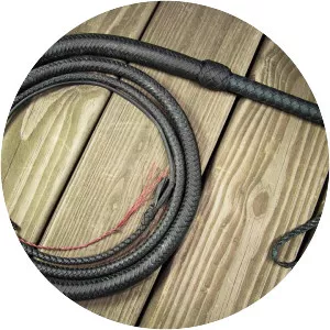 Bullwhip