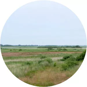 Bundesgaarder See