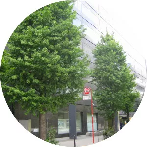 Bungeishunjū - Company