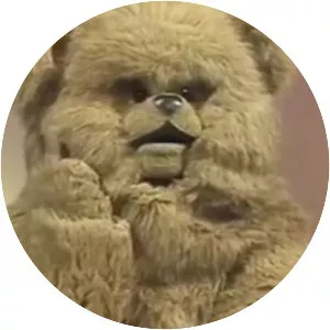 Bungle Musician
