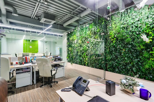 Bureau PHYTODESIGN Ficus - 