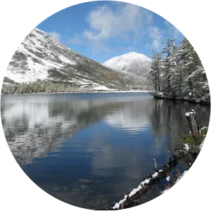 Bureya Nature Reserve