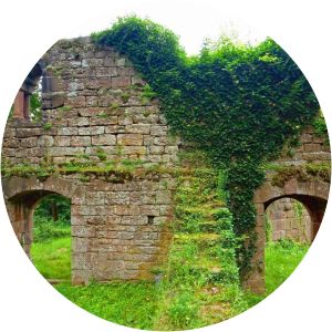 burg eberbach kellereihof