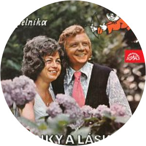 Buřinky a Berušky Petra Dudeška - Musical artist