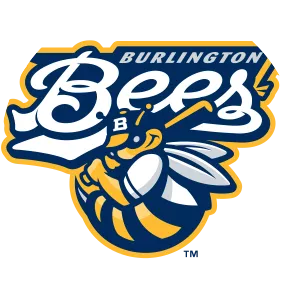Burlington Bees