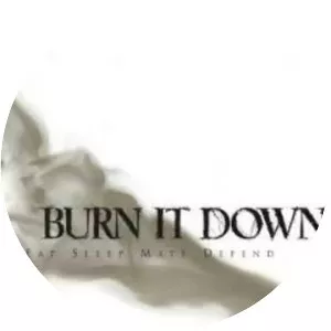Burn It Down photograph