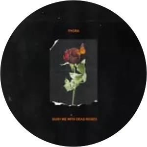 Bury Me With Dead Roses photograph