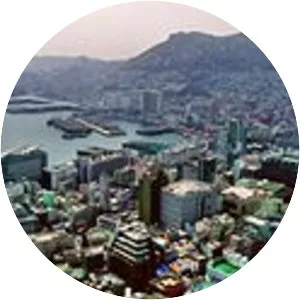 Busan Cooperative Fish Market - 