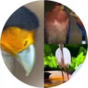 Busch Wildlife Sanctuary