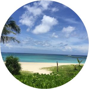 Busena Beach - Beach in Nago, Japan