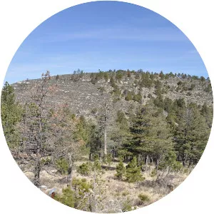 Bush Mountain - Peak in Texas
