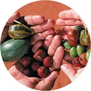 Bush tucker - Food