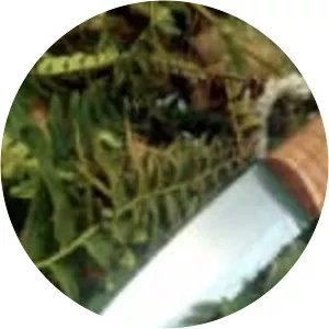 Bushcrafting's Best - TV program