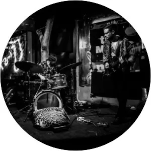 Bushman's Revenge - Rock band