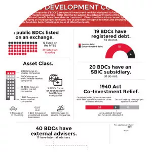 Business Development Company