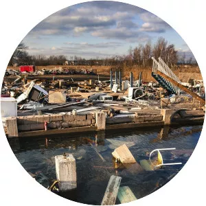 Business of Disaster