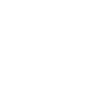 Business Valuation Advisors