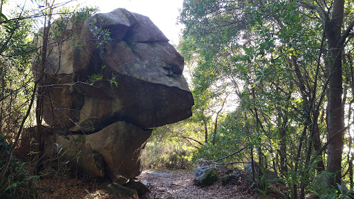 Busto de Pedra - Historical landmark in Spain