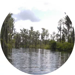 Butler Chain of Lakes - 