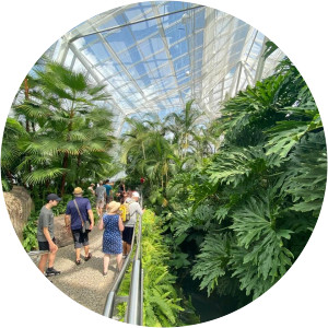 Butterfly Conservatory