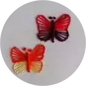 Butterfly Stitching